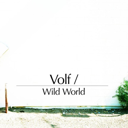 WEB - Endelig Cover - Volf - WILD WORLD